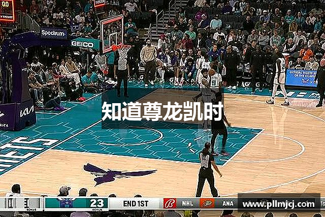 知道尊龙凯时